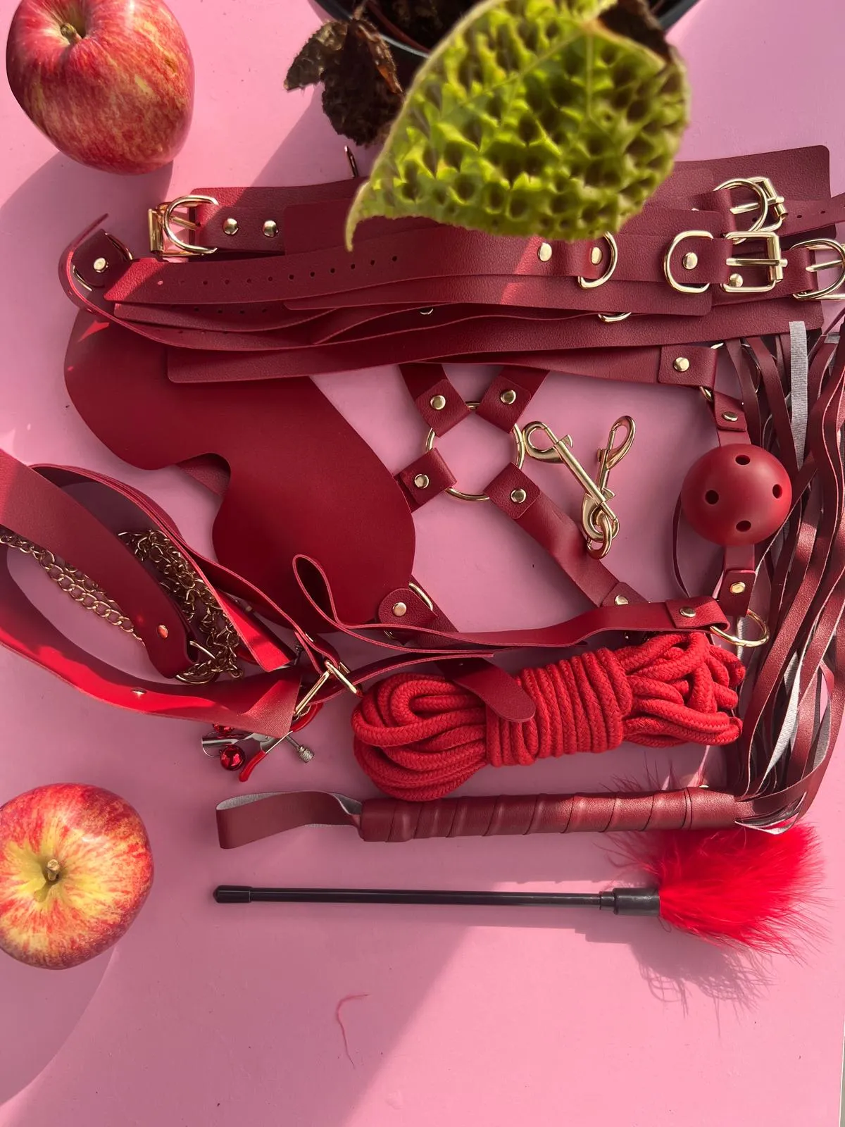 /product-images/bdsm/bondage-sets/maroon-starter-set/1.webp