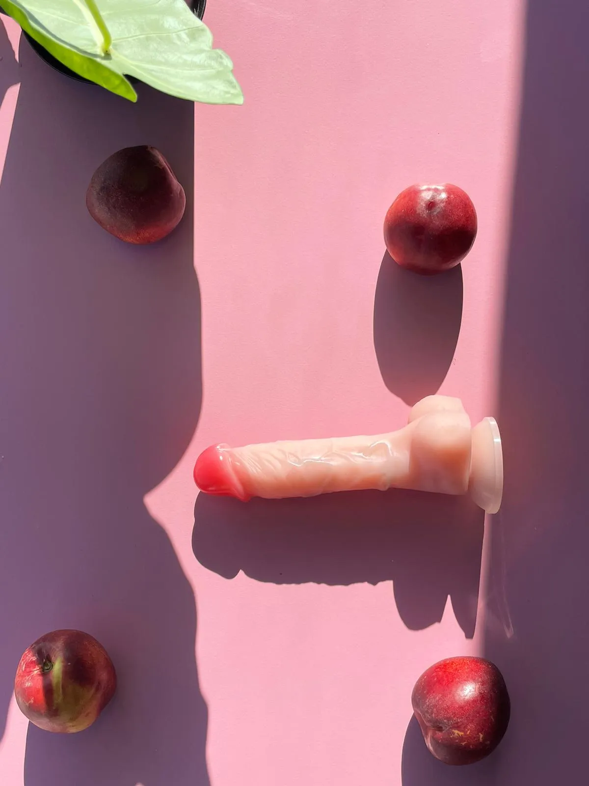 /product-images/dildos/large-dildo-tpe/dildo-home-peach.webp